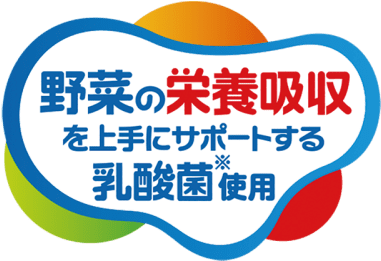 野菜の栄養吸収を上手にサポートする乳酸菌※使用