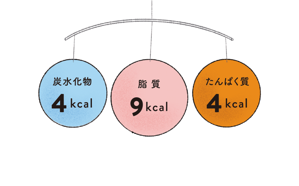 食べ物のエネルギー量は、こうやって計算できる！