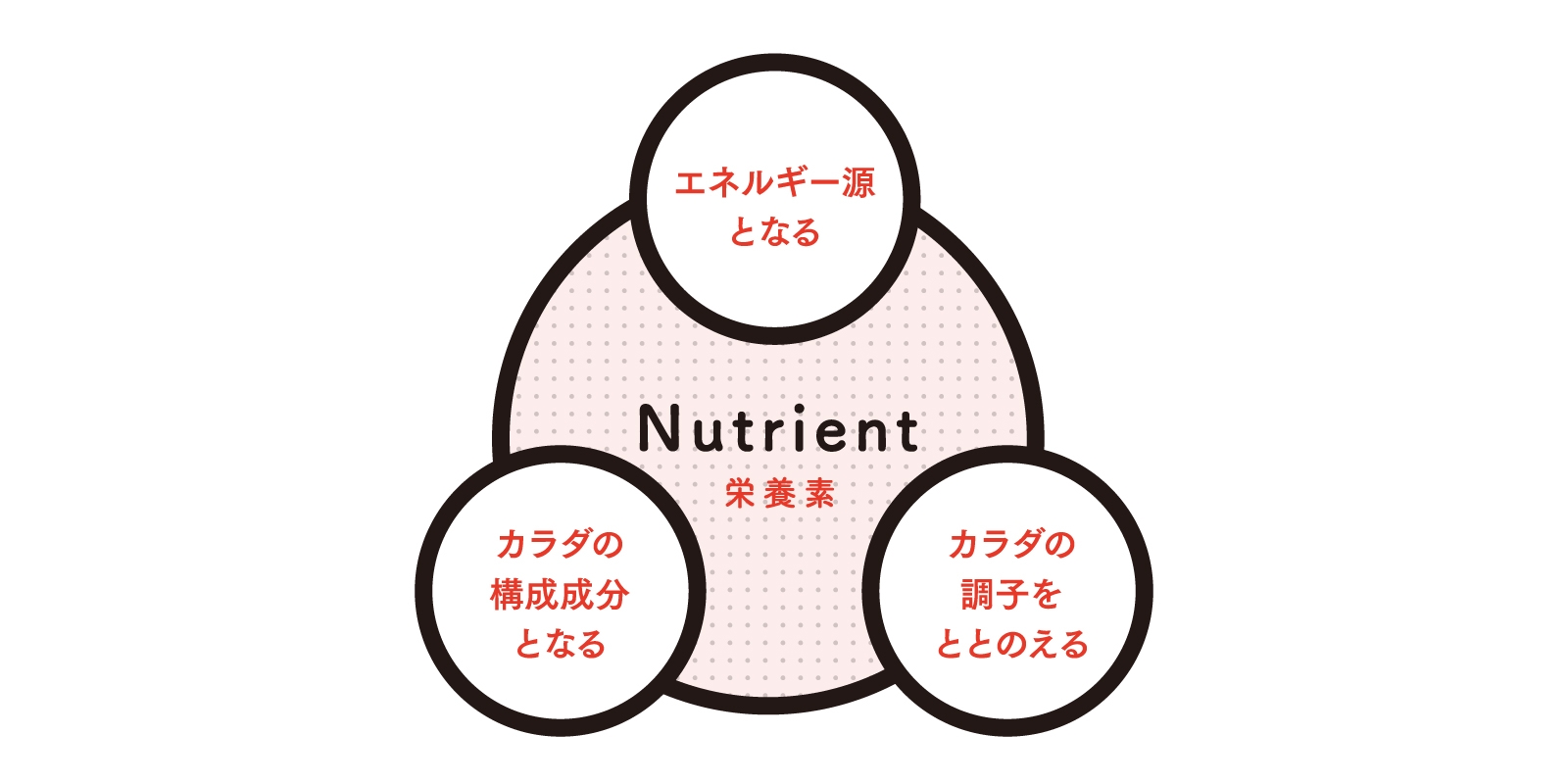 そもそも栄養ってなに 栄養とカラダのホントのところ 読む栄養補給 Nu ニュータス By 日本栄養士会