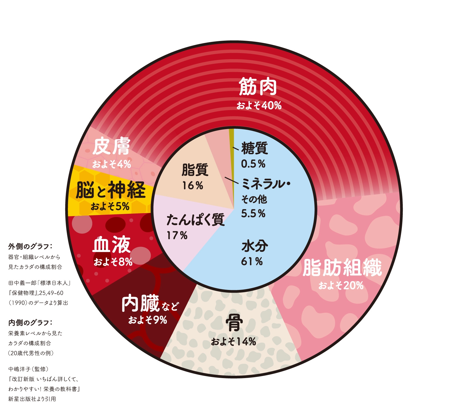 そもそも栄養ってなに 栄養とカラダのホントのところ 読む栄養補給 Nu ニュータス By 日本栄養士会